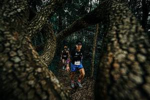 BIB: 
                            <button type="button" onclick="openModal(25675084)" class="btn btn-primary btn-sm float-right btn-popup" data-toggle="modal" data-target=".modal-high-quality">
                        <i class="fas fa-shopping-cart"></i> Add to Cart
                    </button>
                                            <button type="button" onclick="isThisMe(25675084, true)" class="btn btn-success btn-sm float-right btn-popup btn-isme hidden" data-toggle="tooltip" data-placement="bottom" title="นี่คือรูปของคุณใช่ไหม คลิกที่นี่เพื่อเอาเข้าอัลบั้ม">
                        <i class="fas fa-plus"></i> Add to album
                    </button>
                    <button type="button" onclick="isThisMe(25675084, false)" class="btn btn-warning btn-sm float-right btn-popup btn-isnotme hidden">
                        <i class="fas fa-ban"></i> Remove from album
                    </button>